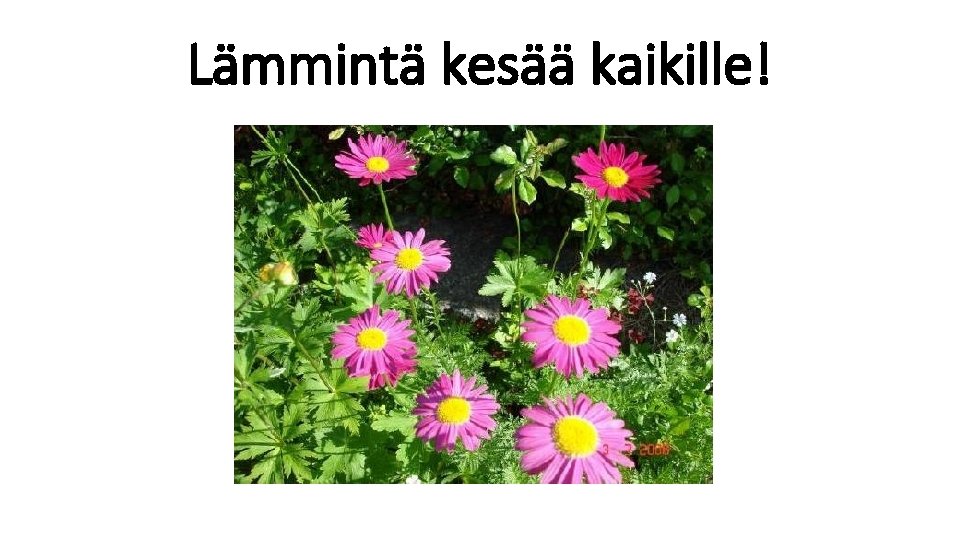 Lämmintä kesää kaikille! 