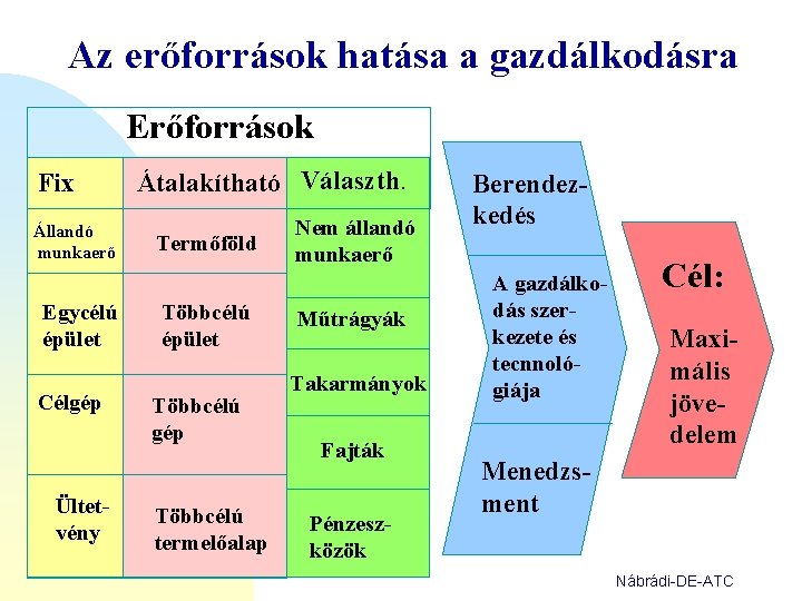 Az erőforrások hatása a gazdálkodásra Erőforrások Fix Állandó munkaerő Egycélú épület Célgép Ültetvény Átalakítható