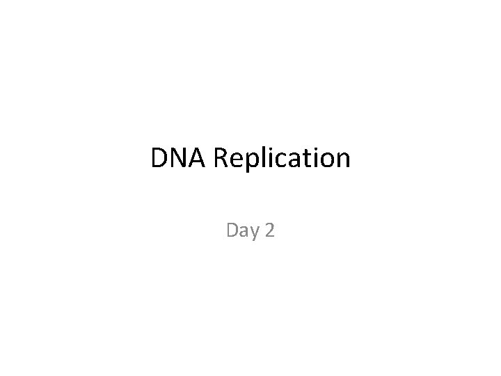 DNA Replication Day 2 