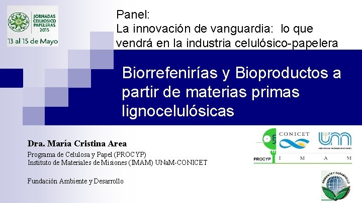 Panel: La innovación de vanguardia: lo que vendrá en la industria celulósico-papelera Biorrefenirías y