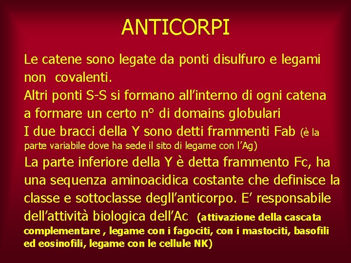 ANTICORPI Le catene sono legate da ponti disulfuro e legami non covalenti. Altri ponti