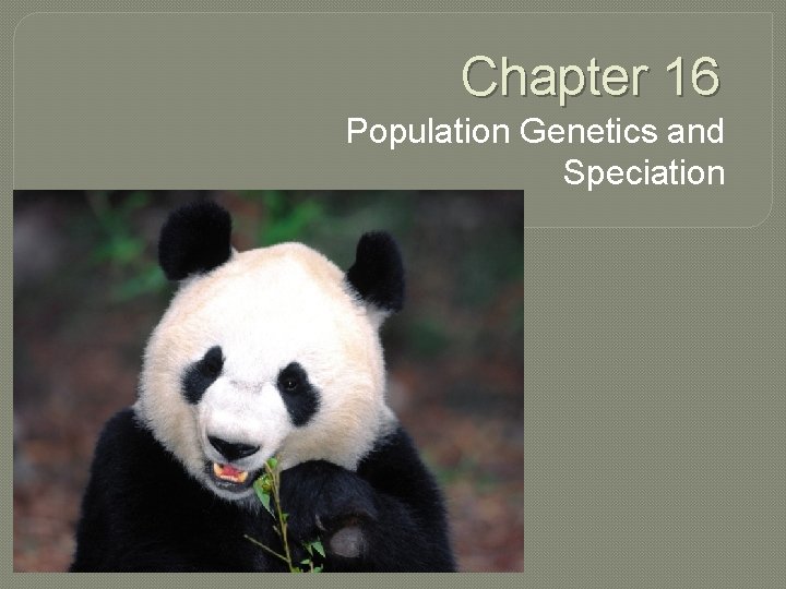 Chapter 16 Population Genetics and Speciation 