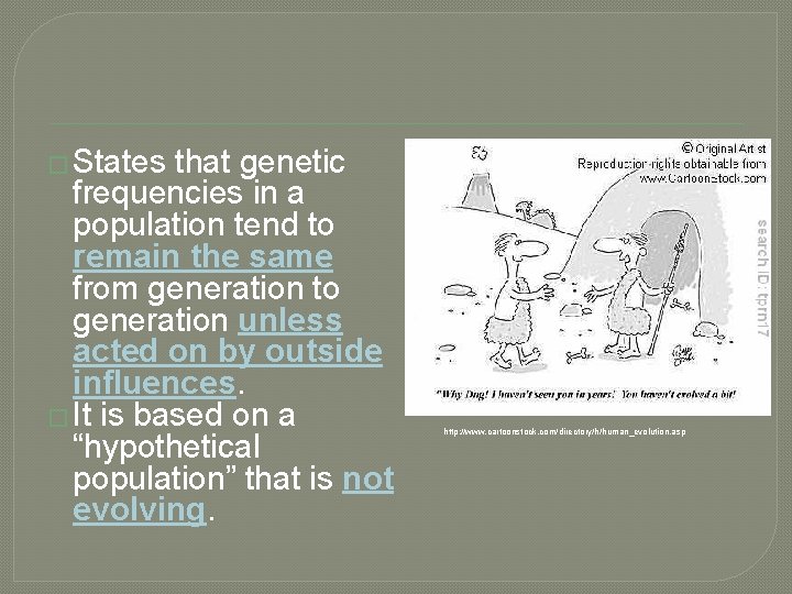 � States that genetic frequencies in a population tend to remain the same from