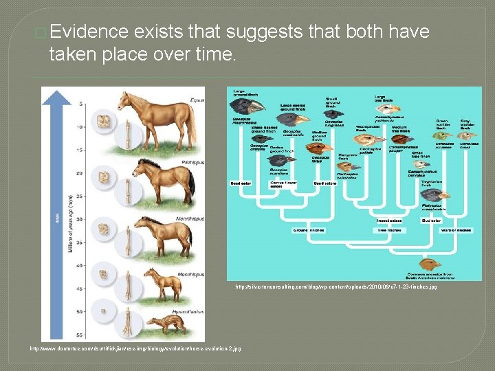 � Evidence exists that suggests that both have taken place over time. http: //silvertonconsulting.