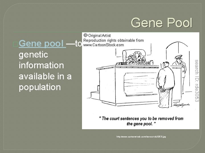 Gene Pool �Gene pool —total genetic information available in a population http: //www. cartoonstock.