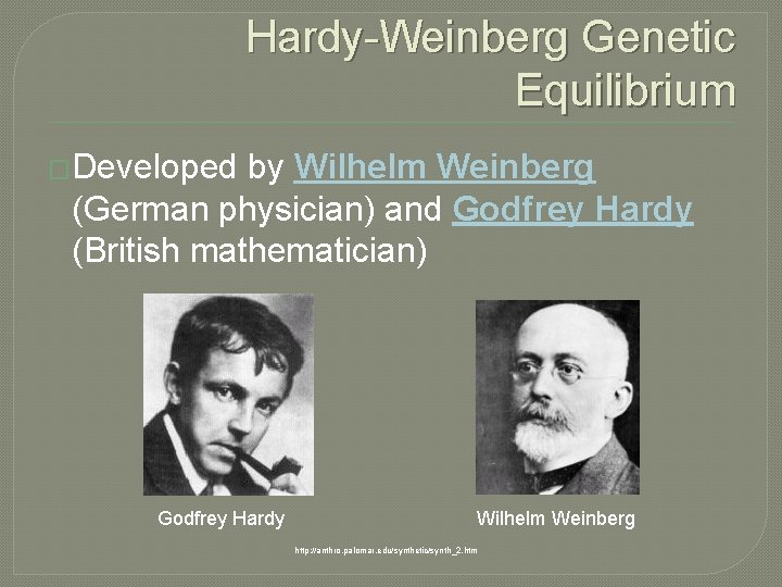 Hardy-Weinberg Genetic Equilibrium �Developed by Wilhelm Weinberg (German physician) and Godfrey Hardy (British mathematician)