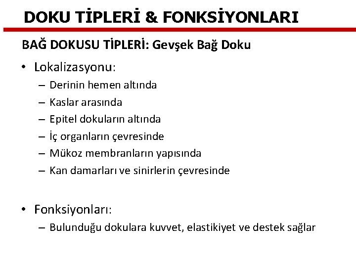 DOKU TİPLERİ & FONKSİYONLARI BAĞ DOKUSU TİPLERİ: Gevşek Bağ Doku • Lokalizasyonu: – –