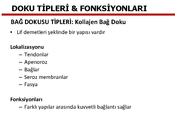 DOKU TİPLERİ & FONKSİYONLARI BAĞ DOKUSU TİPLERİ: Kollajen Bağ Doku • Lif demetleri şeklinde