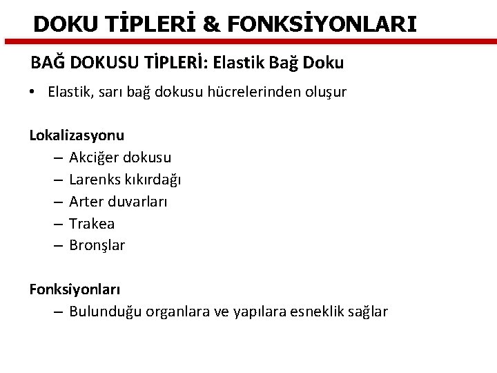 DOKU TİPLERİ & FONKSİYONLARI BAĞ DOKUSU TİPLERİ: Elastik Bağ Doku • Elastik, sarı bağ