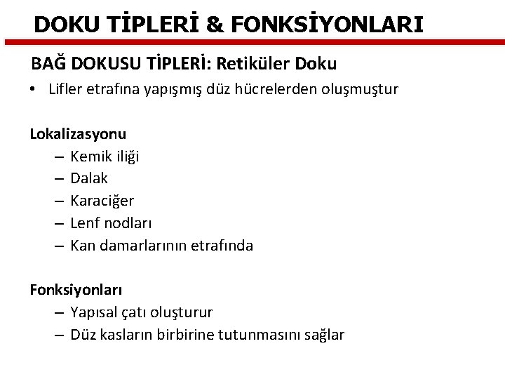 DOKU TİPLERİ & FONKSİYONLARI BAĞ DOKUSU TİPLERİ: Retiküler Doku • Lifler etrafına yapışmış düz