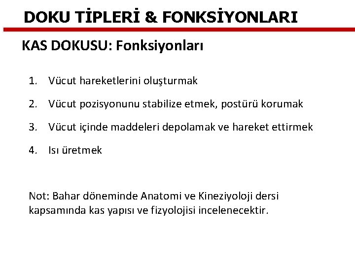 DOKU TİPLERİ & FONKSİYONLARI KAS DOKUSU: Fonksiyonları 1. Vücut hareketlerini oluşturmak 2. Vücut pozisyonunu