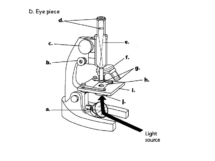 D. Eye piece 