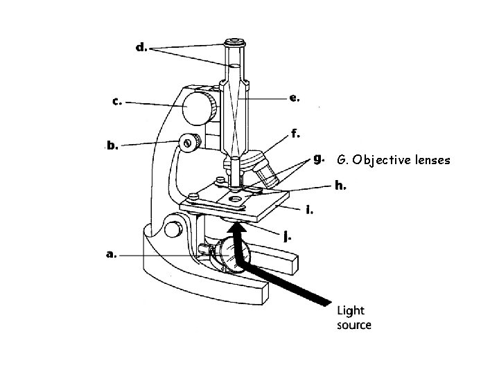 G. Objective lenses 