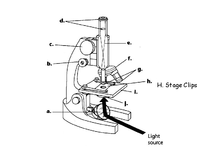 H. Stage Clips 