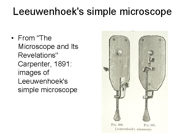 Leeuwenhoek's simple microscope • From "The Microscope and Its Revelations" Carpenter, 1891: images of
