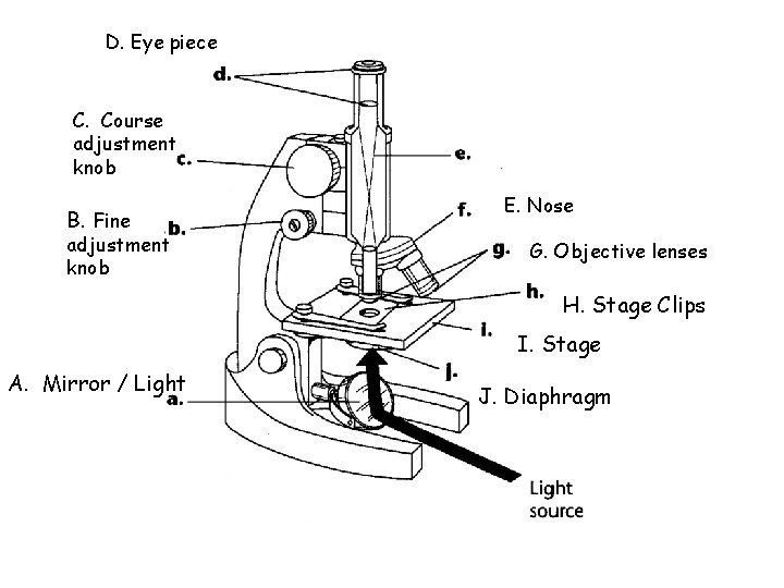 D. Eye piece C. Course adjustment knob B. Fine adjustment knob E. Nose G.