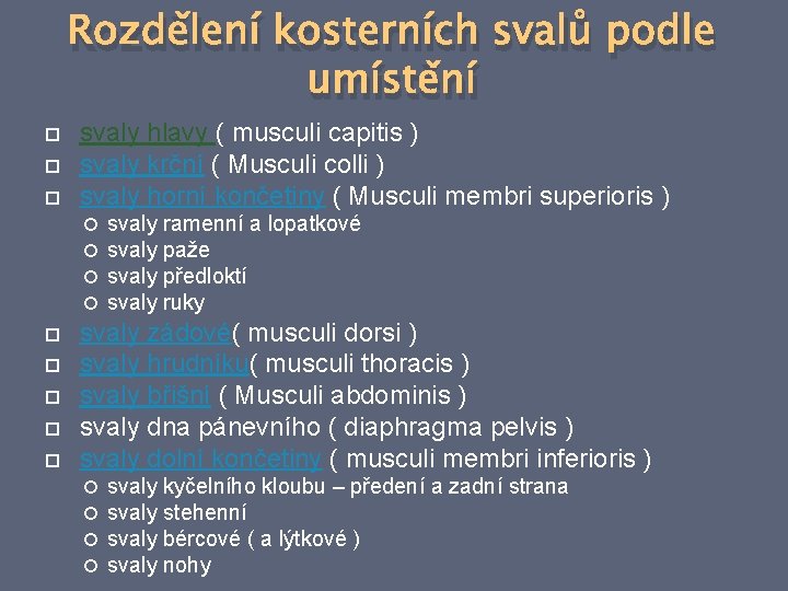 Rozdělení kosterních svalů podle umístění svaly hlavy ( musculi capitis ) svaly krční (