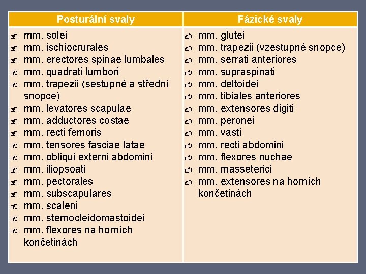 Posturální svaly mm. solei mm. ischiocrurales mm. erectores spinae lumbales mm. quadrati lumbori mm.