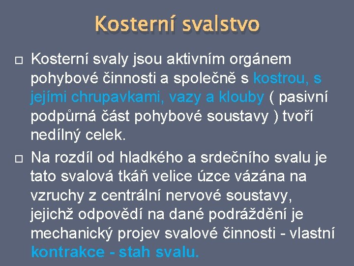 Kosterní svalstvo Kosterní svaly jsou aktivním orgánem pohybové činnosti a společně s kostrou, s