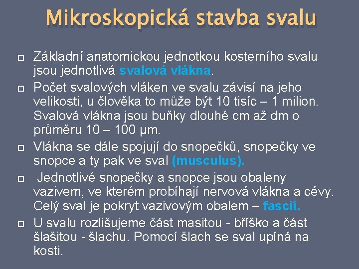 Mikroskopická stavba svalu Základní anatomickou jednotkou kosterního svalu jsou jednotlivá svalová vlákna. Počet svalových