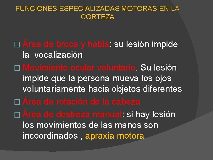 FUNCIONES ESPECIALIZADAS MOTORAS EN LA CORTEZA � Área de broca y habla: su lesión