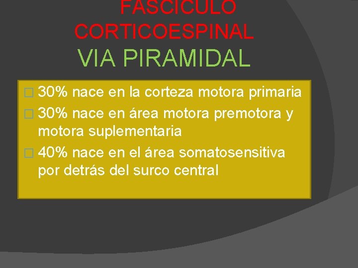 FASCICULO CORTICOESPINAL VIA PIRAMIDAL � 30% nace en la corteza motora primaria � 30%