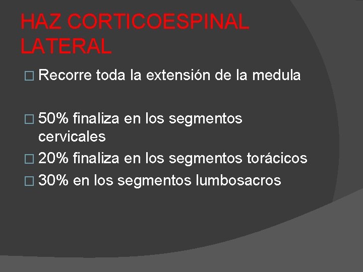 HAZ CORTICOESPINAL LATERAL � Recorre � 50% toda la extensión de la medula finaliza