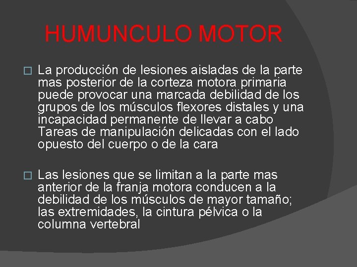 HUMUNCULO MOTOR � La producción de lesiones aisladas de la parte mas posterior de