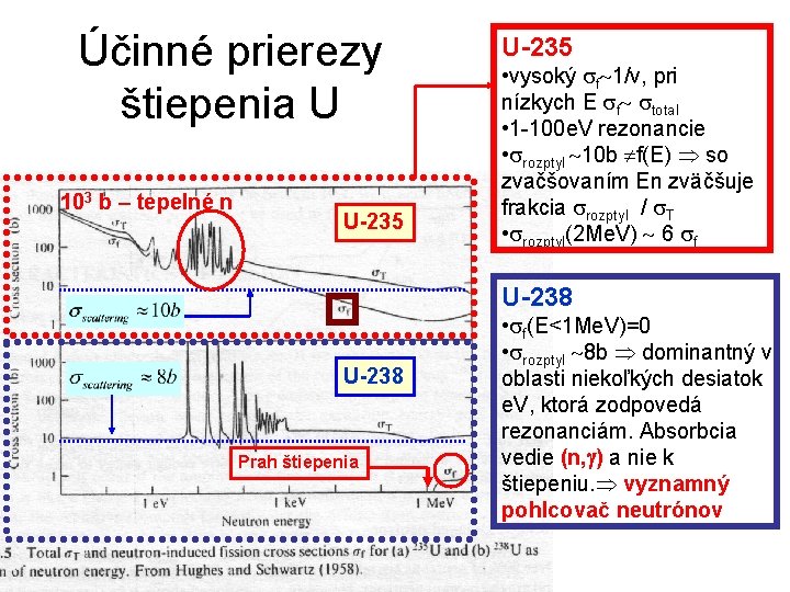 Účinné prierezy štiepenia U 103 b – tepelné n U-235 • vysoký f 1/v,