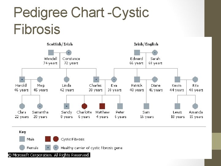 Pedigree Chart -Cystic Fibrosis 