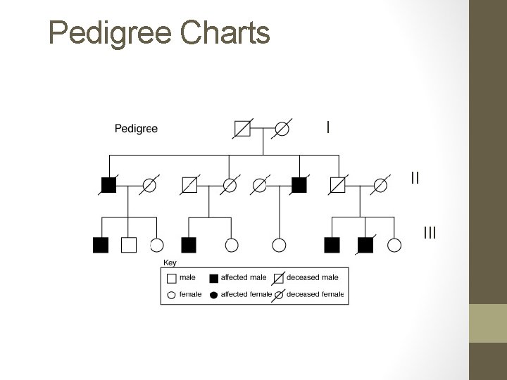 Pedigree Charts I II III 