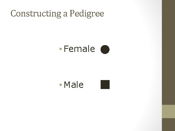 Constructing a Pedigree • Female • Male 