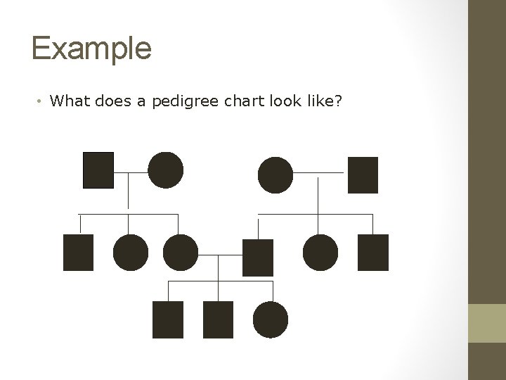 Example • What does a pedigree chart look like? 