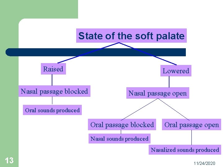 State of the soft palate Raised Nasal passage blocked Lowered Nasal passage open Oral