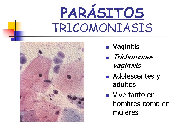 PARÁSITOS TRICOMONIASIS n n Vaginitis Trichomonas vaginalis Adolescentes y adultos Vive tanto en hombres