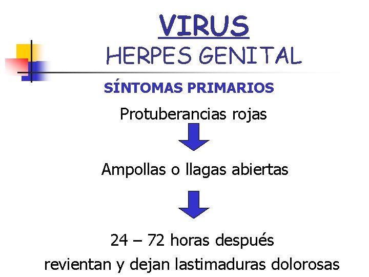 VIRUS HERPES GENITAL SÍNTOMAS PRIMARIOS Protuberancias rojas Ampollas o llagas abiertas 24 – 72