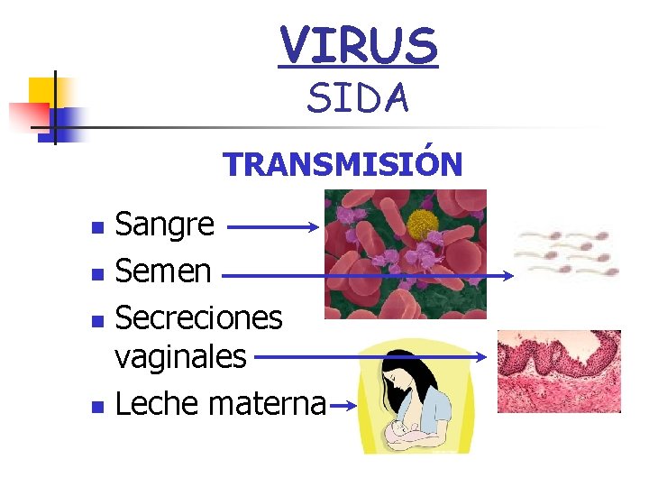 VIRUS SIDA TRANSMISIÓN Sangre n Semen n Secreciones vaginales n Leche materna n 