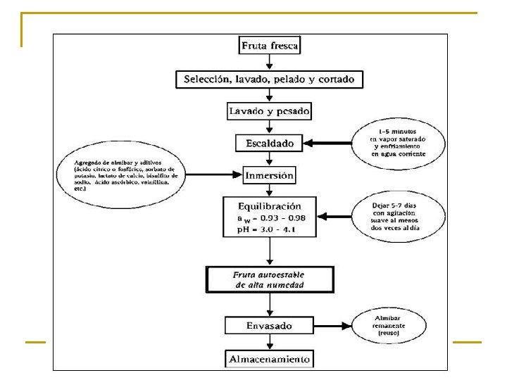 Lic. Adriana Sofìa Revoredo Peña 