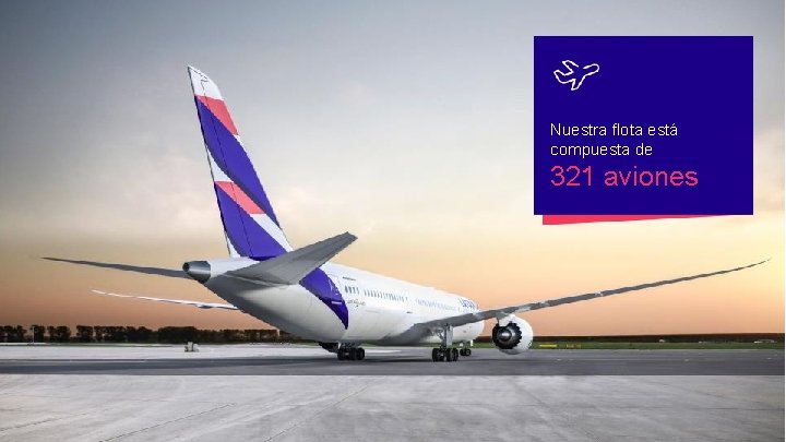 Nuestra flota está compuesta de 321 aviones 