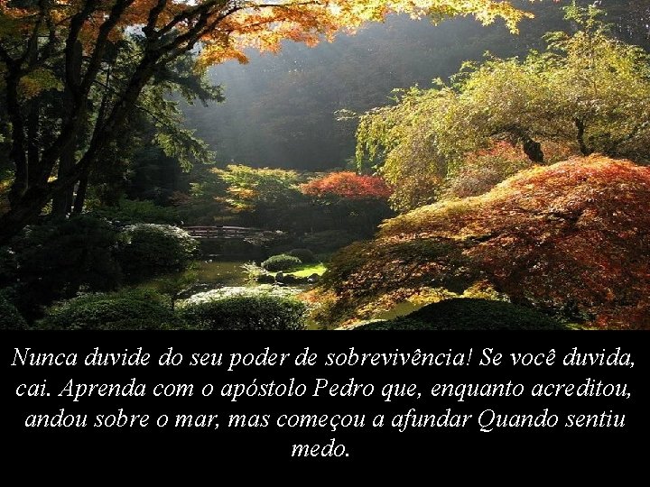 Nunca duvide do seu poder de sobrevivência! Se você duvida, cai. Aprenda com o