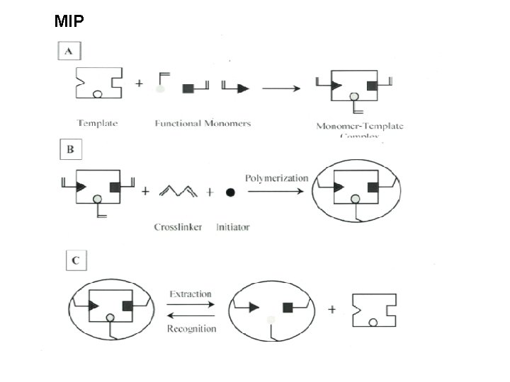 MIP 