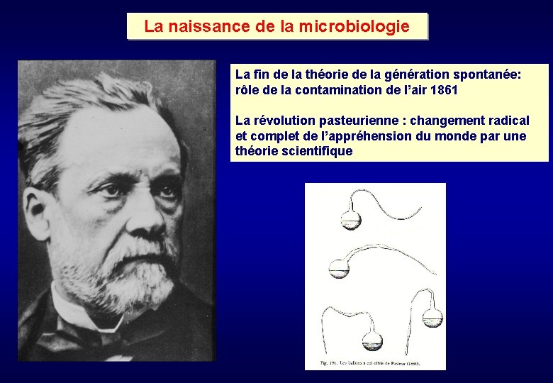 La naissance de la microbiologie La fin de la théorie de la génération spontanée:
