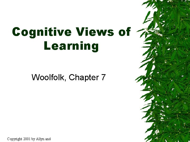 Cognitive Views of Learning Woolfolk, Chapter 7 Copyright 2001 by Allyn and 