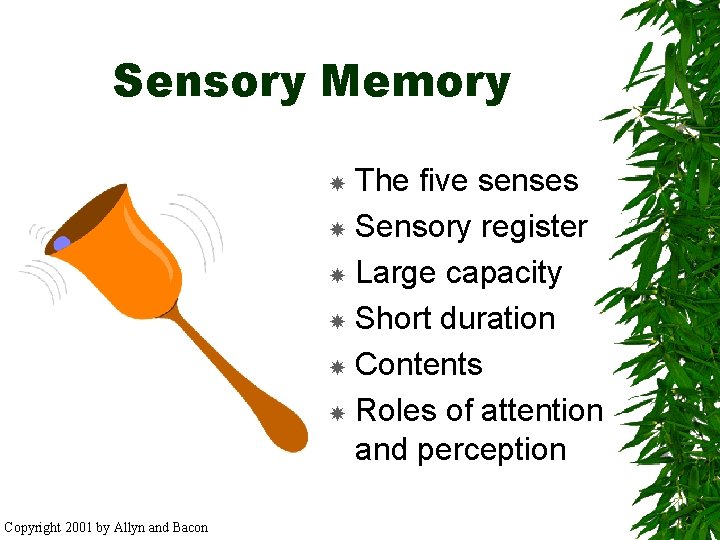 Sensory Memory The five senses Sensory register Large capacity Short duration Contents Roles of