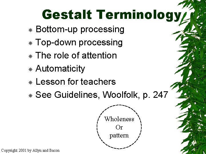 Gestalt Terminology Bottom-up processing Top-down processing The role of attention Automaticity Lesson for teachers