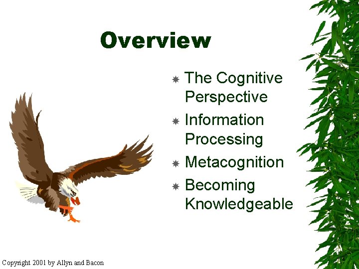 Overview The Cognitive Perspective Information Processing Metacognition Becoming Knowledgeable Copyright 2001 by Allyn and