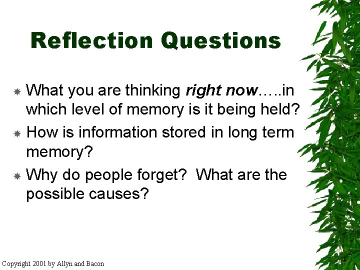 Reflection Questions What you are thinking right now…. . in which level of memory