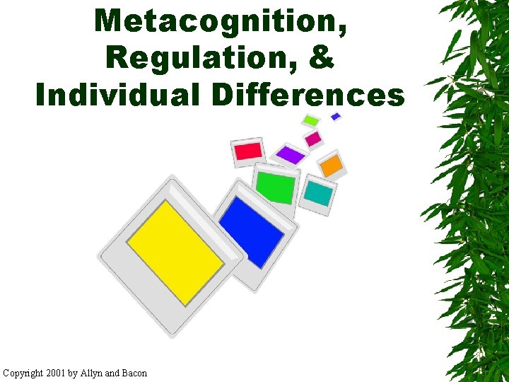 Metacognition, Regulation, & Individual Differences Copyright 2001 by Allyn and Bacon 