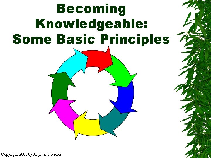 Becoming Knowledgeable: Some Basic Principles Copyright 2001 by Allyn and Bacon 