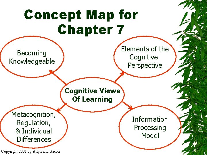 Concept Map for Chapter 7 Elements of the Cognitive Perspective Becoming Knowledgeable Cognitive Views